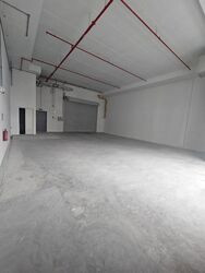 Ct Foodnex (D25), Factory #613756401